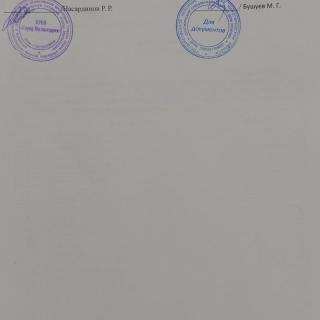 IMG_3425.jpeg